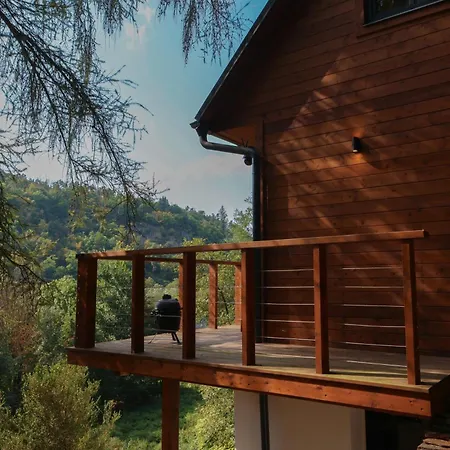 Cedrus * Hradišťko